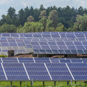 Polycrystalline Solar Panels
